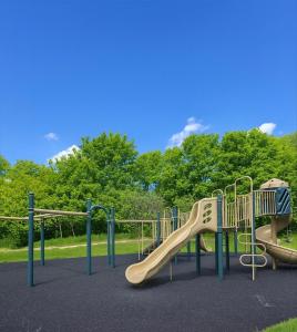 a playground with a slide in a park at Luxury Jacuzzi Suite with Sauna & Heated Pool in Shanty Bay