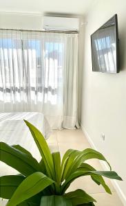 Et tv og/eller underholdning på Departamento Necochea + 16 billeder