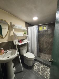 a bathroom with a toilet and a shower and a sink at Quinta Los 3 Tesoros in San Francisco Amatepe