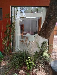 a room with a window and a table and a tree at Casa com spa hidromassagem in Florianópolis