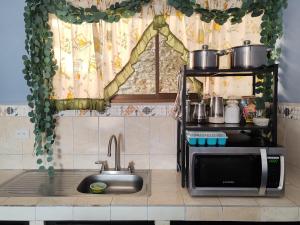 a kitchen with a sink and a microwave at Casa Hortensia in Nicoya