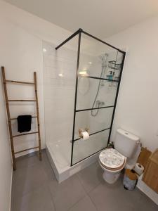 a bathroom with a shower and a toilet at Villa Lissya in Morne-à-lʼEau