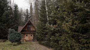a wooden cabin in the middle of a forest at Chata u Bronka in Białka Tatrzańska