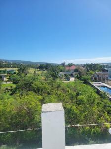 a view of a hill with trees and a pool at Dragonfly in Treasure Beach