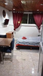 a bedroom with a bed and a table and curtains at Che Lolita house 4 in Buenos Aires