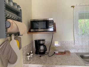 a microwave sitting on a shelf in a kitchen at Venus Lodging House in Alto Boquete