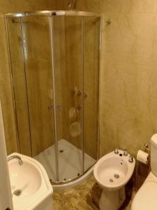 a bathroom with a shower and a toilet and a sink at Casa Cabaña Los Zorzales Santa Clara del Mar-Argentina in Santa Clara del Mar +16 photos