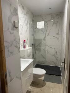 a white bathroom with a toilet and a shower at Apparemment Gütenberg-Cathedrale in Strasbourg