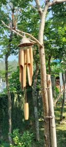 a bird feeder is hanging from a tree at Sunny House Homestay in Tam Ðảo +44 photos