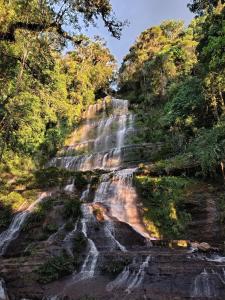 a waterfall in the middle of a forest at Hotel Oiba Alfa Plaza in Oiba