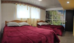 a bedroom with two beds and a large window at Finca Agrópolis de Silvania in Silvania