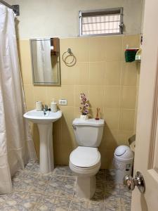 a bathroom with a toilet and a sink at Venus Lodging House in Alto Boquete +4 photos