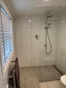a bathroom with a shower with a glass door at Portobello Bach Double Cove in Lochmara Bay +5 photos