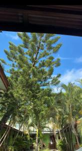 a large tree in front of some palm trees at Liv Bumi Oasis in Pantai Cenang