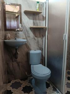 ein Badezimmer mit blauer Toilette und Waschbecken in der Unterkunft Hospedaje Rural Shihumar in Coquí + 15 Fotos