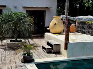 a patio with a pool and a house with a vase at Villa Rose Barth Location de Chambre in Saint-Louis
