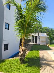 a palm tree in front of a white building at Departamento con ubicacion priviligiada cerca de la playa in Acapulco