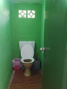 een groene badkamer met een toilet in een groene kamer bij Mana ki he Mana Residence 