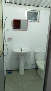 a bathroom with a sink and a mirror and a toilet at Sinharaja Backpacker Homestay in Kandilpana +31 photos