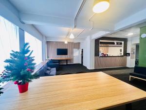 a living room with a christmas tree on a table at Utopia31 Hostel - formerly Frienz Backpacker in Auckland