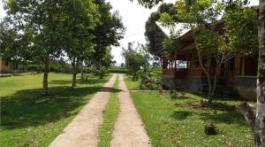 a dirt road in front of a house at Ruteng YosPrima Garden in Lao