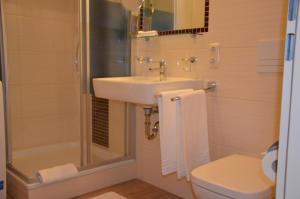 een badkamer met wastafel, douche en toilet bij Ferienwohnung an der Elbe in Dresden +16 foto's