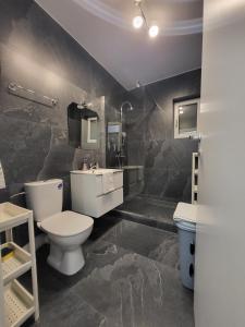 a bathroom with a toilet and a sink at Apart 1 Dragonul Rosu - Spital Fundeni in Dobroeşti