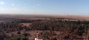 an aerial view of a desert with trees and a building at Forteresse Ait-Mezline in Timimoun