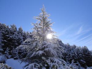 Coma Bella durante o inverno