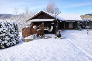 a snow covered cabin with a snow covered yard at Ferienwohnung Gräßl - Almzeit in Preitenegg