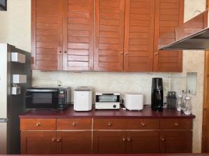 een aanrecht met een magnetron en apparatuur erop bij Flower House Toya in Lake Toya