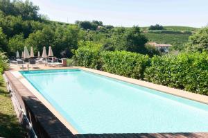 a swimming pool with chairs and umbrellas on a hill at StarsBox CasaSilvana in Alba