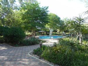 a swimming pool in a park with trees and bushes at Shelanti Game Reserve in Marken