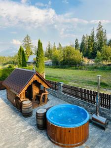 een hot tub en een tuinhuisje in de tuin bij Apartamenty 1000m npm Murzasichle in Murzasichle