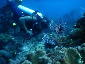 a person swimming in the ocean with a pipe at Parfray Homestay Raja Ampat in Airborei