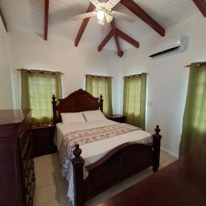 a bedroom with a bed and a ceiling fan at Jared's Place in The Quarter