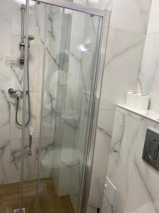 a shower with a glass door in a bathroom at Pension Yasmine in Timişoara +35 photos