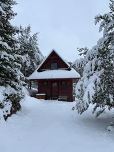a cabin in the snow with snow covered trees at Chata Sauna Sosna in Litmanová