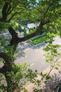 an overhead view of a parking lot with a tree at Cát Tường Hotel in Ho Chi Minh City