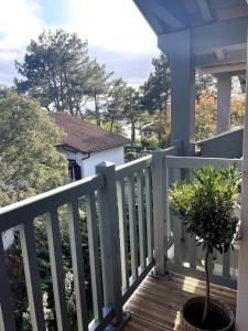 a balcony with a plant on a porch at Appartement - Hossegor Lac in Hossegor