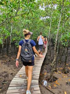 people walking on a wooden path through the trees at Mtunzini South Cottage in Mtunzini