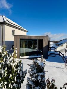 SeewaldChalet Seewald - Tiny House的雪地里有一棵树的房子