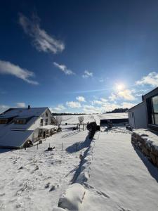 SeewaldChalet Seewald - Tiny House的一座有房子和建筑物的雪盖庭院