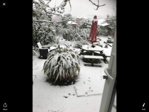 a garden covered in snow with a woman in a red dress at Gwynarth B&B in Wadebridge