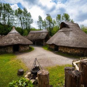 a group of three buildings with grass roofs at Forge Cottage2 in Wexford +15 photos