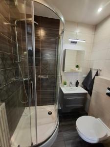 a bathroom with a shower and a toilet and a sink at Apartament Lewin Kłodzki in Lewin Kłodzki