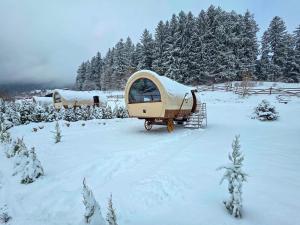 een paar campers geparkeerd in een met sneeuw bedekt veld bij Nomad by Hora cu Brazi in Zărneşti