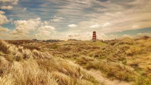 a field of tall grass with a lighthouse in the distance at Villavilla 637 - Vorupør, Nordjylland in Stenbjerg