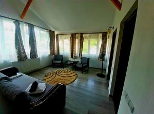 a living room with a couch and chairs and windows at Casa Ostrov in Călimăneşti