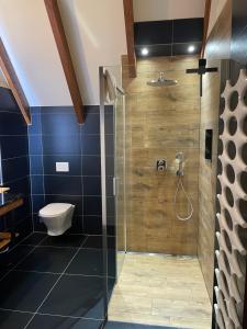 a bathroom with a shower and a toilet at Ferienhaus Sprejnik Bautzen in Bautzen +15 photos